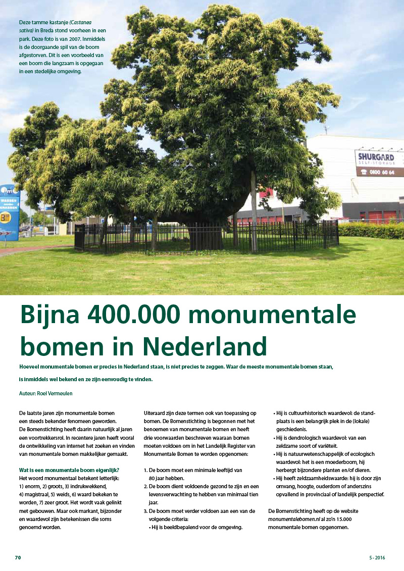 Bijna 400.000 monumentale bomen in Nederland