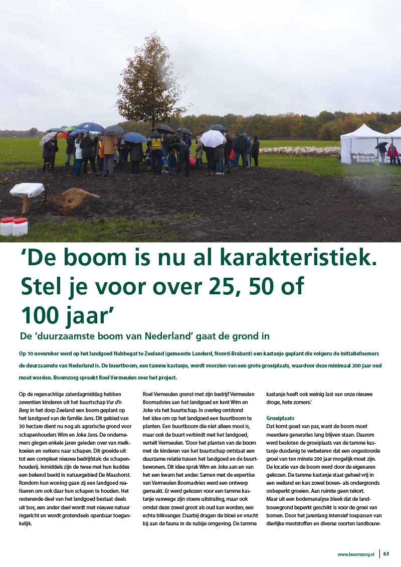 Duurzaamste boom van Nederland