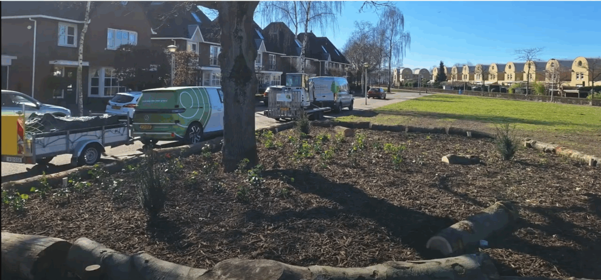 Groeiplaatsverbetering monumentale bomen Eindhoven